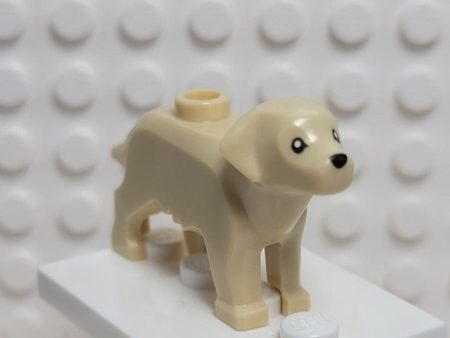 LEGO® Labrador Golden Retriever Cheap