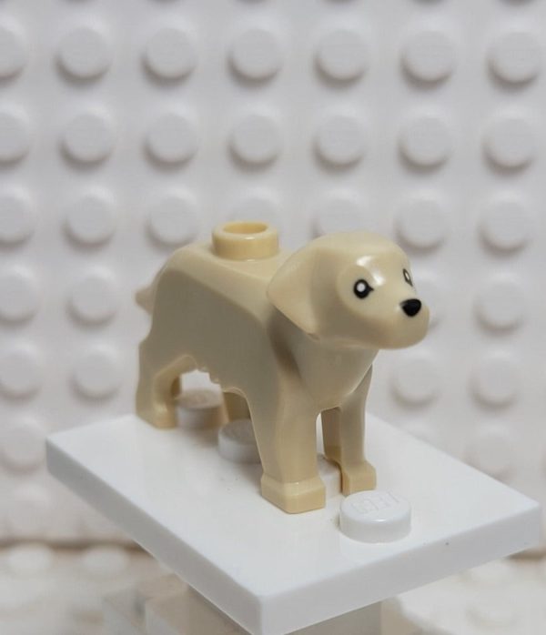 LEGO® Labrador Golden Retriever Cheap