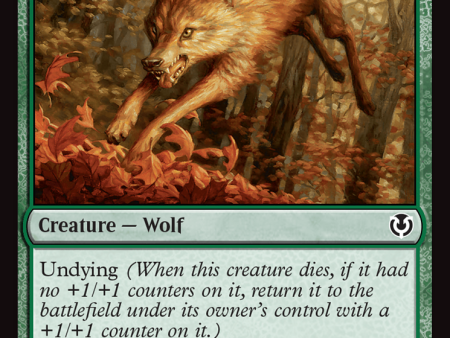 Young Wolf [Innistrad Remastered] Discount